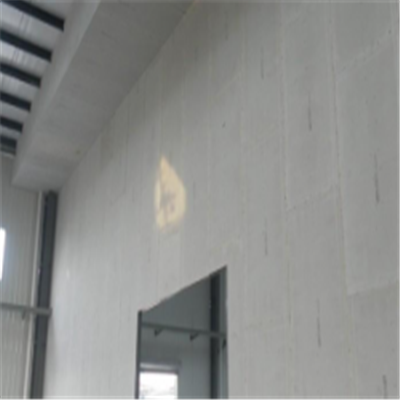 五通新型建筑材料掺多种工业废渣的ALC|ACC|FPS模块板材轻质隔墙板